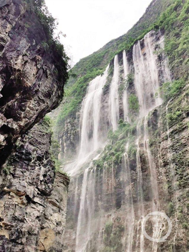 救援海盗章鱼